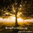 Eagle sunset soundscapes - Sunlight in the Morning