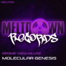 Drome View Killaz - Molecular Genesis (Original Mix)