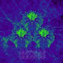 Peyote People - Intoxica (Original Mix)