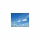 Mindfulness Healing Sleep BGM Project - Living & Delicateness (Sleep BGM)