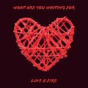 Deeplastik - What Are You Waiting For