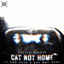 23 Odd Cats & BoyNotHome - Cat Not Home