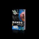Xander Rose - Bands