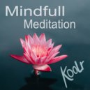 KooLr - Mindfull Meditation (Original Mix)