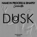 Name In Process  &  Sinapsy  - Cenzontle