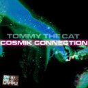 Tommy The Cat - Flying Papers (Original Mix)