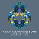 Vol2Cat x Milan Tavares & Lambi - Watching (Extended Mix)