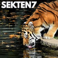 Sekten7 - LIGHT BRINGER