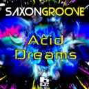 Saxongroove - Acid Dreams (Original Mix)
