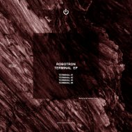 Robotron - Terminal#4