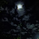 Meaning Of Nonsense - I've Made Friends With Loneliness, But He's Given Me No Answers