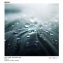 R/D/V - Elastic Medium