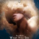 BackHaze - What You See (Original Mix)