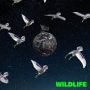 Flaunt - WILDLIFE (Original Mix)