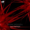 Erdinc Erdogdu - Daytripper (Original Mix)