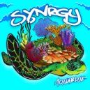 Synrgy - Average Joe
