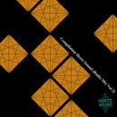DMITRY HERTZ & Anonymous - Only Forward (Radio Edit)