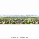 Temporary Hero - Glorious