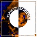Transcode - Synesthesia (Original Mix)
