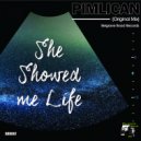 Pimlican - She Showed Me Life (Original Mix)