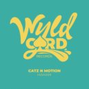 Catz N Motion - Haham