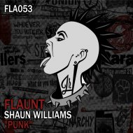 Shaun Williams - Punk
