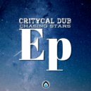 Critycal Dub - Nothing Inside (Original Mix)