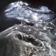 Sueños de Pájaros - Sueño del mar