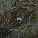 Dizonant - Laki (Original Mix)
