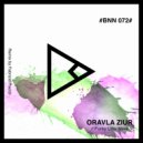 Oravla Ziur - Funky Little Move