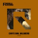Wildberg & Chrys Dan - Tarzan