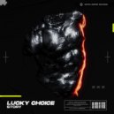 Lucky Choice - Story