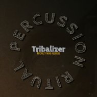 Tribalizer - Don\'t Lose Your Mind