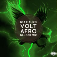 Malizo - Volt