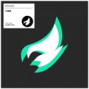 Biggoose - 11Km (Original Mix)