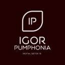 Igor Pumphonia - Digital Detox 15 (Promo Mix)
