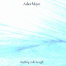Asher Meyer - The Fall