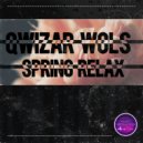 Qwizar Wols - Happy Way (Original Mix)