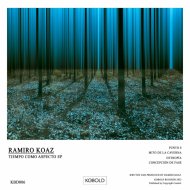 Ramiro Koaz - Concepción De Fase