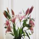 Konchord - Spring Snowflake