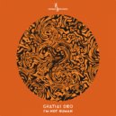 Gratias Deo - I\'m not Human (Original Mix)