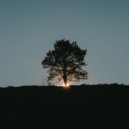 Theny - I've Been Thinking