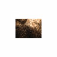 Mindfulness Healing Sleep BGM Project - Winter & Music Therapy