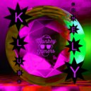 Monkey Timers - Disko (not Disko) (Original Mix)