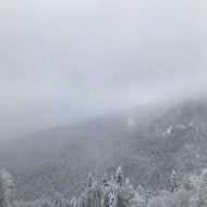 Eurt Apatea - weakness