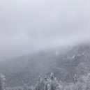 Eurt Apatea - unrevealed secrets ()