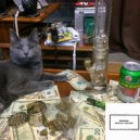 Yung Glizock - One night stand