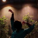 dorrynalin - Люби