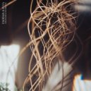 Faodail & PLYA - Strangers Gone Missing (Original Mix)