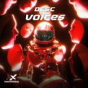 DESC - Voices (Original Mix)
